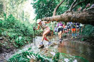 BIB: 
                            <button type="button" onclick="openModal(25516351)" class="btn btn-primary btn-sm float-right btn-popup" data-toggle="modal" data-target=".modal-high-quality">
                        <i class="fas fa-shopping-cart"></i> Add to Cart
                    </button>
                                            <button type="button" onclick="isThisMe(25516351, true)" class="btn btn-success btn-sm float-right btn-popup btn-isme hidden" data-toggle="tooltip" data-placement="bottom" title="นี่คือรูปของคุณใช่ไหม คลิกที่นี่เพื่อเอาเข้าอัลบั้ม">
                        <i class="fas fa-plus"></i> Add to album
                    </button>
                    <button type="button" onclick="isThisMe(25516351, false)" class="btn btn-warning btn-sm float-right btn-popup btn-isnotme hidden">
                        <i class="fas fa-ban"></i> Remove from album
                    </button>